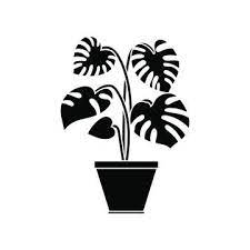 Plant Icon Garden Ilration Herb Logo