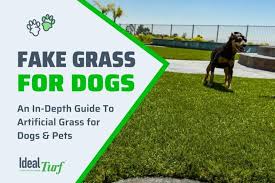 Fake Grass For Dogs The Ultimate Pet
