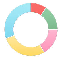 Radpiechart With Hollow Middle In Ui For Wpf Chartview