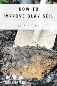 how to improve clay soil in 6 steps