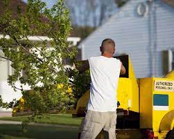 In other words, do not try to do tree removals on your own. Stump Grinding Tree Trimming Tree Removal Augusta