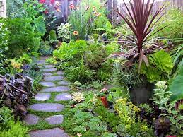 Eco Friendly Gardening For Spring
