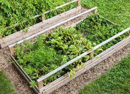 Raised Bed Garden