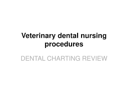 Ppt Veterinary Dental Nursing Procedures Powerpoint
