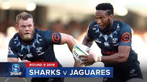 sharks v jaguares super rugby 2019 rd