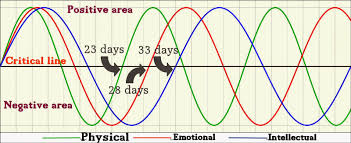 Biorhythm Interactive Chart And Template These Are Examples