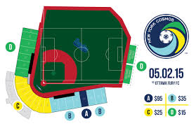 18 Particular Mcu Park Brooklyn Ny Seating Chart