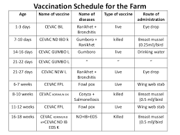 3 Vaccine Schedule Goats