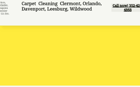 spotless carpet cleaning clermont 3