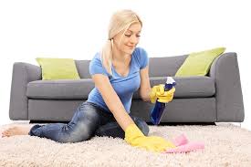 will a diy carpet cleaner get rid of mold