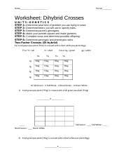 Dihybrid cross worksheet answers rabbits. Dihybrid Worksheet Pdf Name Period Date Chapter 10 Dihybrid Cross Worksheet In Rabbits Gray Hair Is Dominant To White Hair Also In Rabbits Black Eyes Course Hero