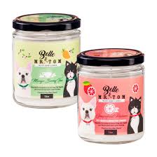 Pet odor exterminator candles look great and smell fantastic! 2 Pack Pet Odor Eliminator Candles 13oz Belle Mr Tom