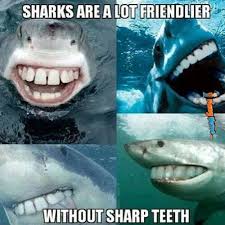 Animal Memes - Sharks without sharp teeth | FunnyMeme.com via Relatably.com