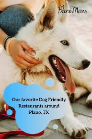 dog friendly restaurants around plano