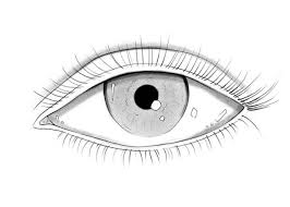 How to Draw Eyes: A Step-by-Step Guide | Udemy Blog