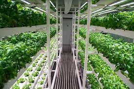 5 vertical farms to look out for in the