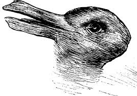 Duck Or Rabbit The 100 Year Old Optical Illusion That Could