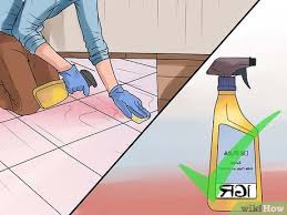 5 ways to rid your pet of fleas wikihow