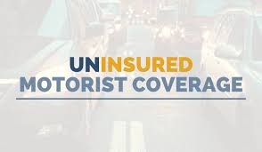 uninsured motorist coverage in michigan