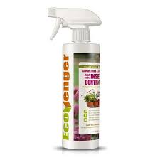ecovenger garden insect control by