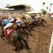 Unit stake of £10 at odds of 1/2 or greater. Horse Racing At Turf Paradise In Phoenix