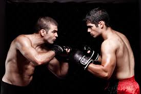 boxing vs muay thai which style is