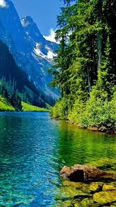 green water on a wonderful green nature