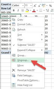 sum vs count in pivot table myexcel