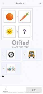 free verbal picture cogat practice test