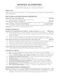 IT Consultant Resume Example   Decoration thevictorianparlor co