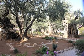 garden of gethsemane in jerum