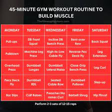 45 minute gym workout routine 5 days a