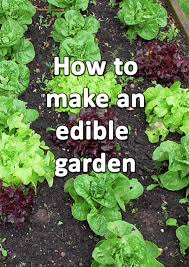 How To Make An Edible Garden The