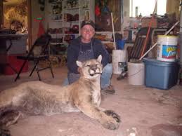 The mountain lion, or cougar, is a large predatory cat found at all elevations in the reserve. Huge Mountain Lion Killed Near Swensen Texas Outdoor Oddities