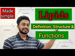 structure clification of lipids