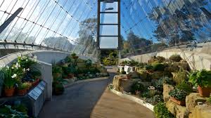 royal botanic gardens in kew tours