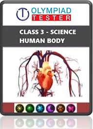 How can we classify plants quiz science worksheets classifying plants basic math skills. Amazon Com Grade 3 Science Olympiad Worksheets Human Body Class 3 Book 1 Ebook Tester Olympiad Kindle Store