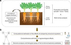 compost soil plant interactions