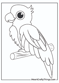 Birds printable coloring page for kids 10. Printable Parrots Coloring Pages Updated 2021