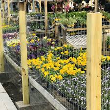 top 10 best nursery in lexington ky