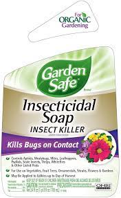 garden safe insecticidal soap insect