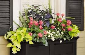 If you grow shallow rooting herbs or miniature roses, these are the perfect planters for your garden. Deck Over Railing Planter Boxes Gardener S Supply