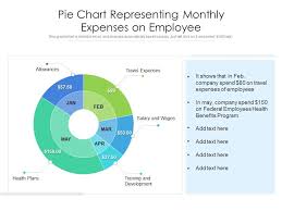 pie chart representing monthly expenses