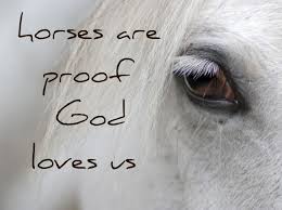 Image result for horse quotes true