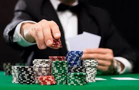 Image result for casino