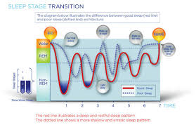 Sleep Cycle Diagram Technical Diagrams