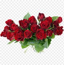 rose flower bouquet png transpa