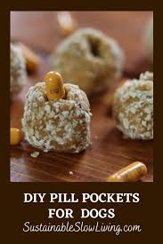 diy pill pockets for dogs make