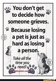 someone grieves because losing a pet