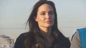 Actress Activist Jolie Urges Role For